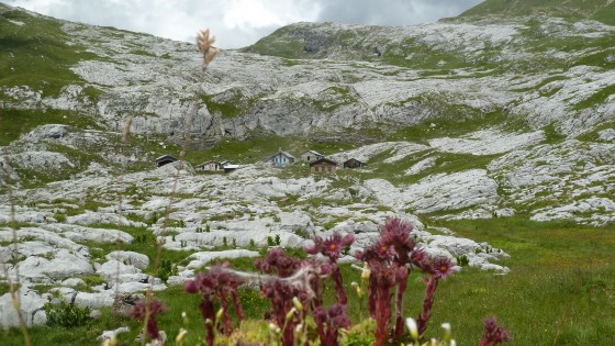 Les chalets de Plat&eacute;