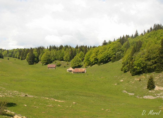 Les Chalets Regueras