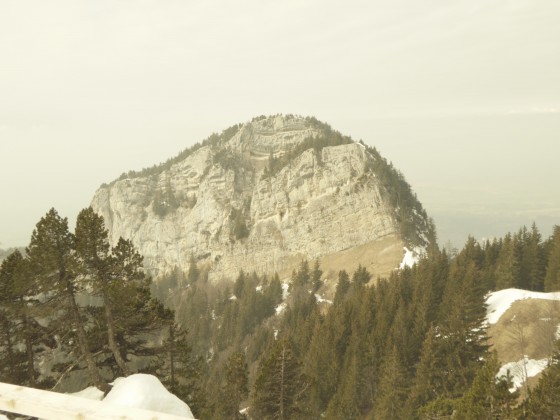 Les chamois n'&eacute;taient pas loin