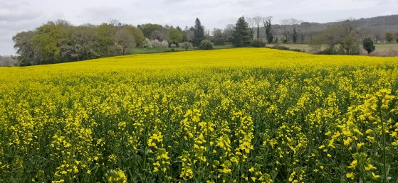 Les Champs autour Bardenat