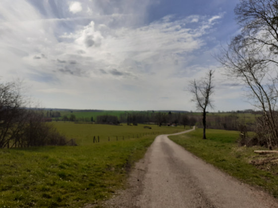Les champs autour de la vall&eacute;e de la Sa&ocirc;ne et l'Ourche