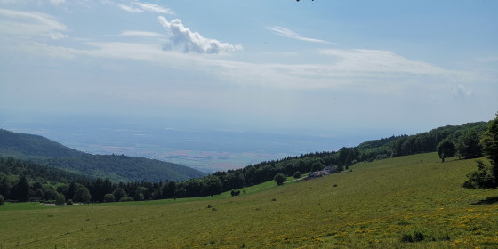 Les chaumes du Molkenrain