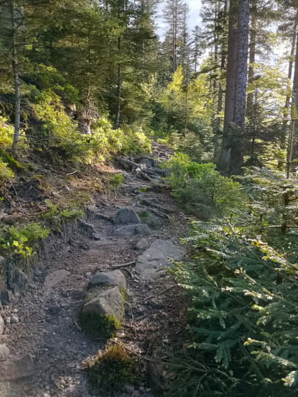 Les chemins en pierre, une bonne partie de la rando !!!