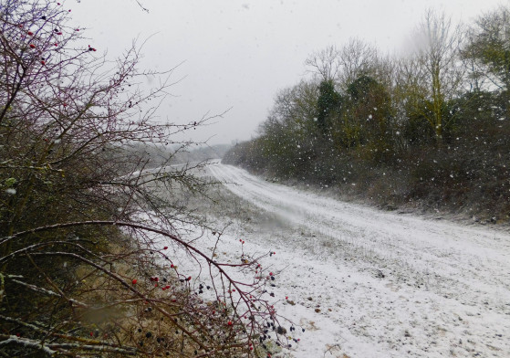 Les chemins sous la neige