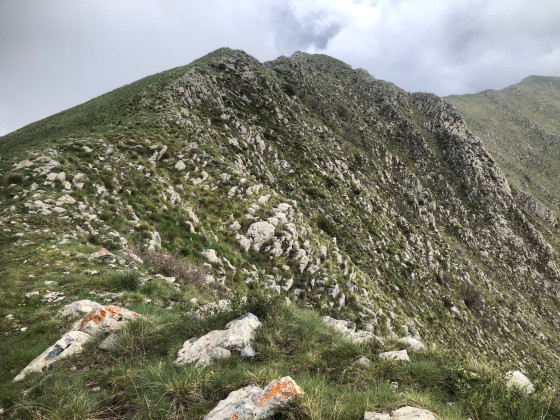 Les cimes