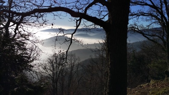 Les collines dans la brumes