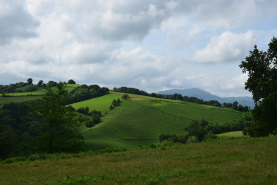 Les collines de Saint-Pee-sur-Nivelle