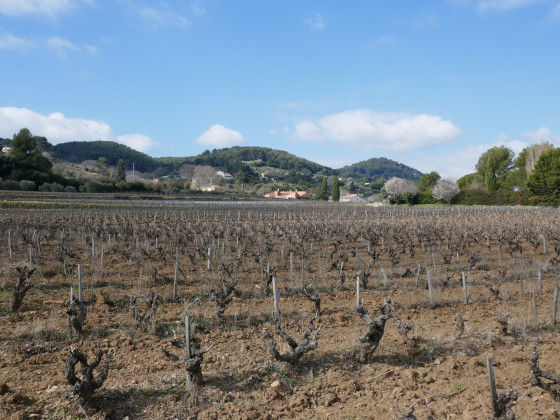 Les collines du Vieux Beausset
