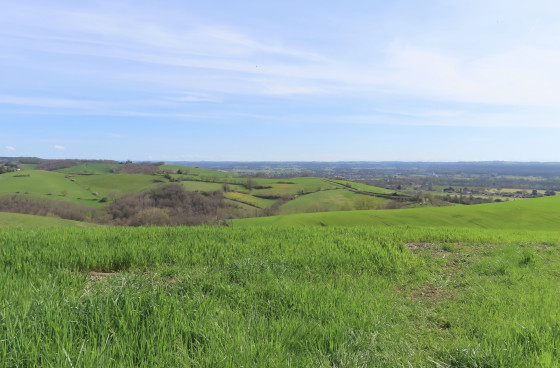 Les collines