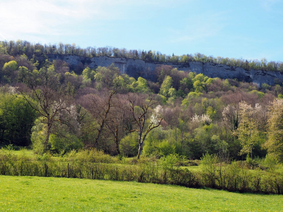 Les corniches du Petit Barmaud