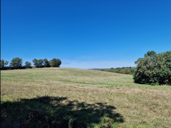 Les coteaux d\'Auzeville-Tolosane