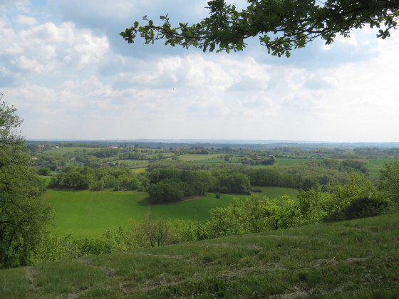 Les coteaux de Carlus
