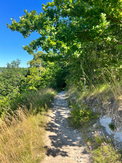 Les coteaux et la for&ecirc;t de Saint-Michel