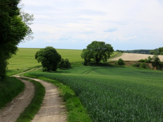 Les Coteaux vus du Grand St-Bonnet