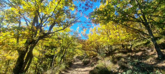 Les couleurs de l\'automne