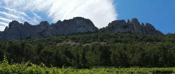 Les dentelles de Montmirail