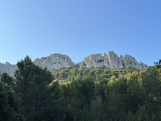 Les dentelles de Montmirail