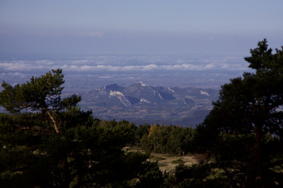 Les Dentelles de Montmirail.