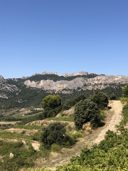 Les dentelles