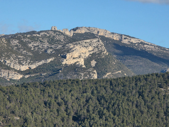 les dents de roque forcade