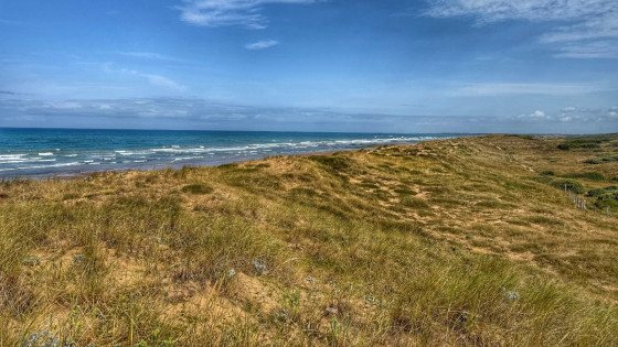 Les dunes et la mer