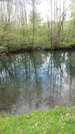 Les Eaux Bleues de Tavers