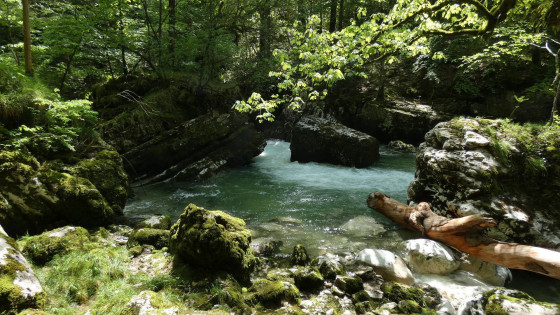 Les eaux bleutées du Guiers Mort