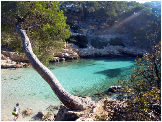 Les eaux émeraudes des calanques