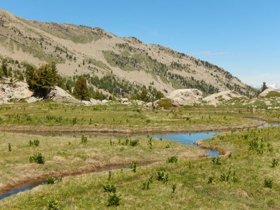 Les Eaux Tortes