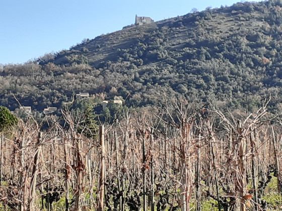 les &eacute;chalas
