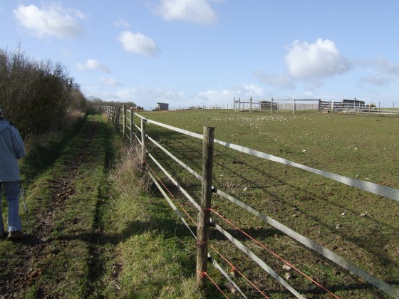 Les enclos des chevaux