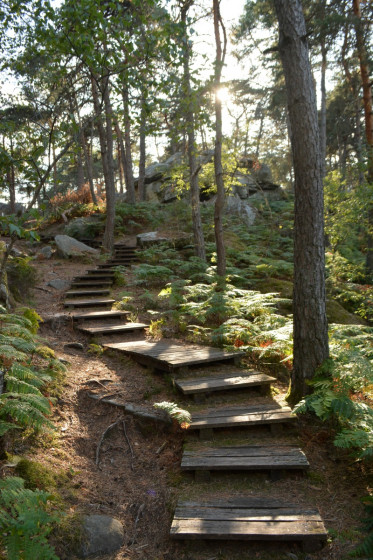 Les escaliers en bois