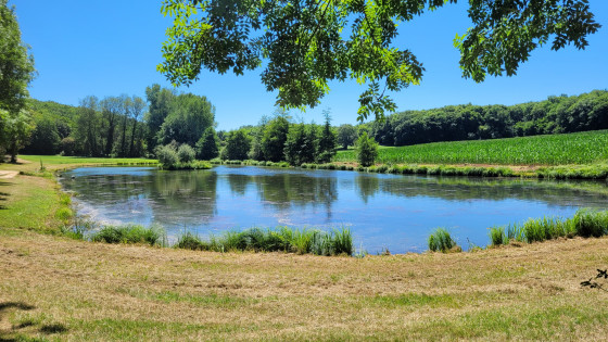 Les étangs de Maumont