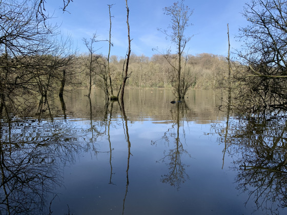 Les &eacute;tangs de Saint-Denis