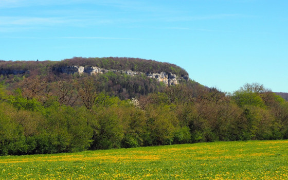 Les falaises de Narpent