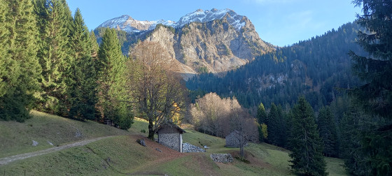 Les Favi&egrave;res