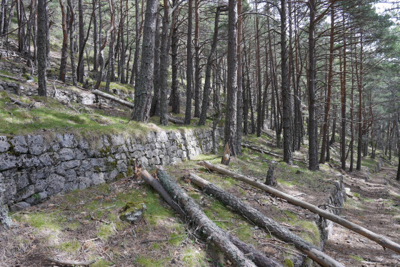 Les fetges ou feixes sur le chemin Vauban