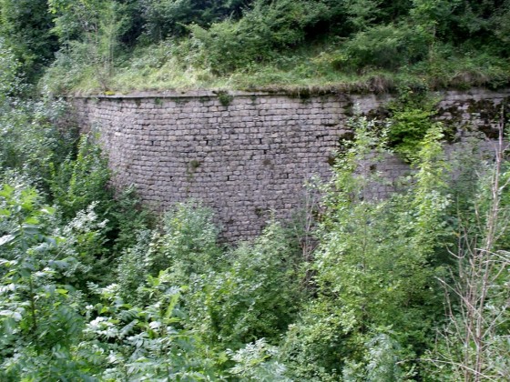Les fossés du Fort Woirol