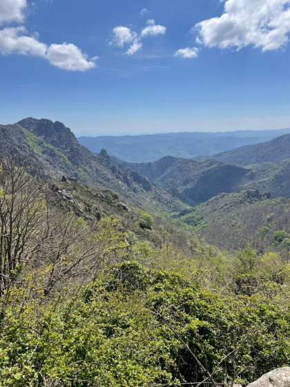 Les gorges d'H&eacute;ric