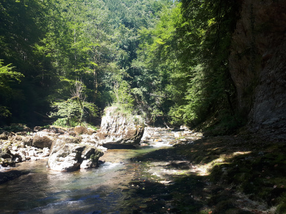 Les Gorges de l'Echaillon