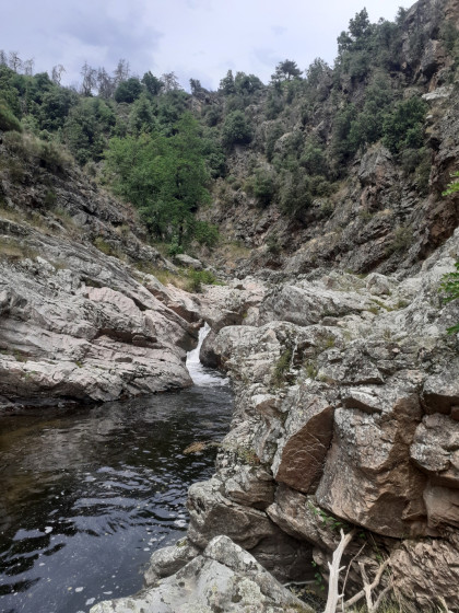 Les gorges de la Daronne.