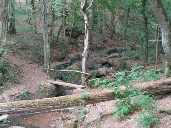 Les Gorges de la Mouille