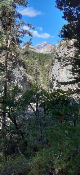 Les gorges de la Souloise au pied du Puits des Bans