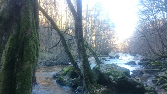 Les gorges de la Voueize