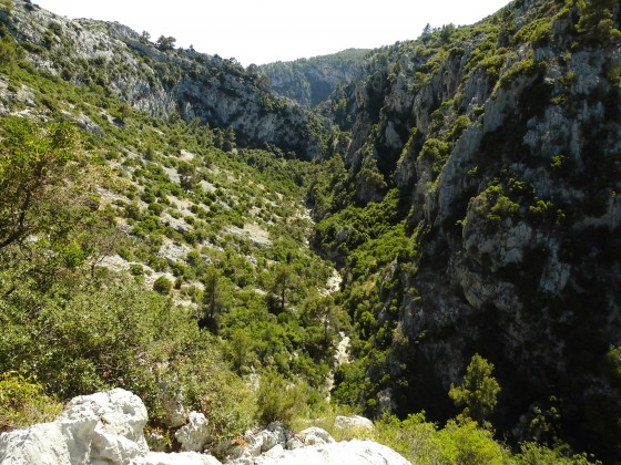 Les gorges du Destel.