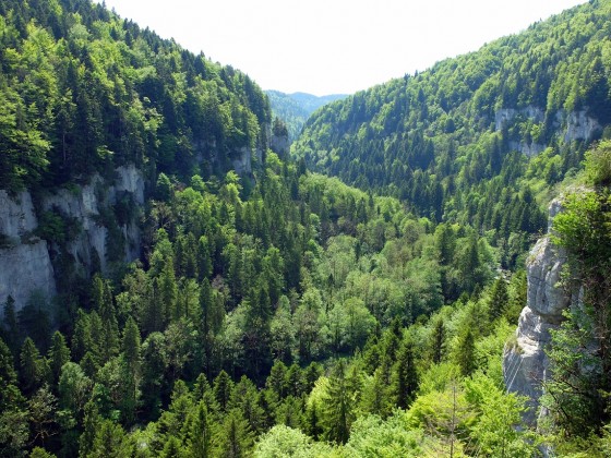 Les gorges du Doubs