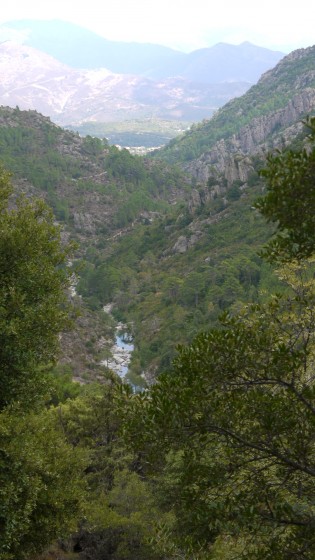 Les gorges du Tavignano