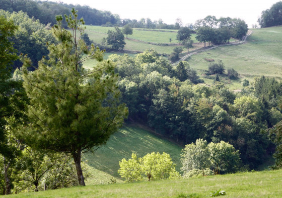 Les Gorges