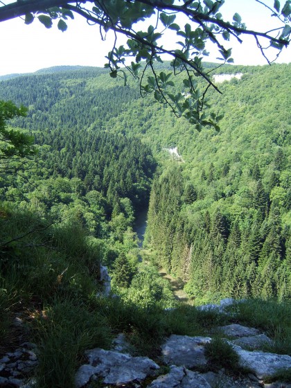 Les Gorges du Lison