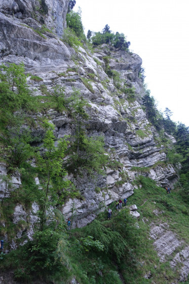 Les Gourhauts
